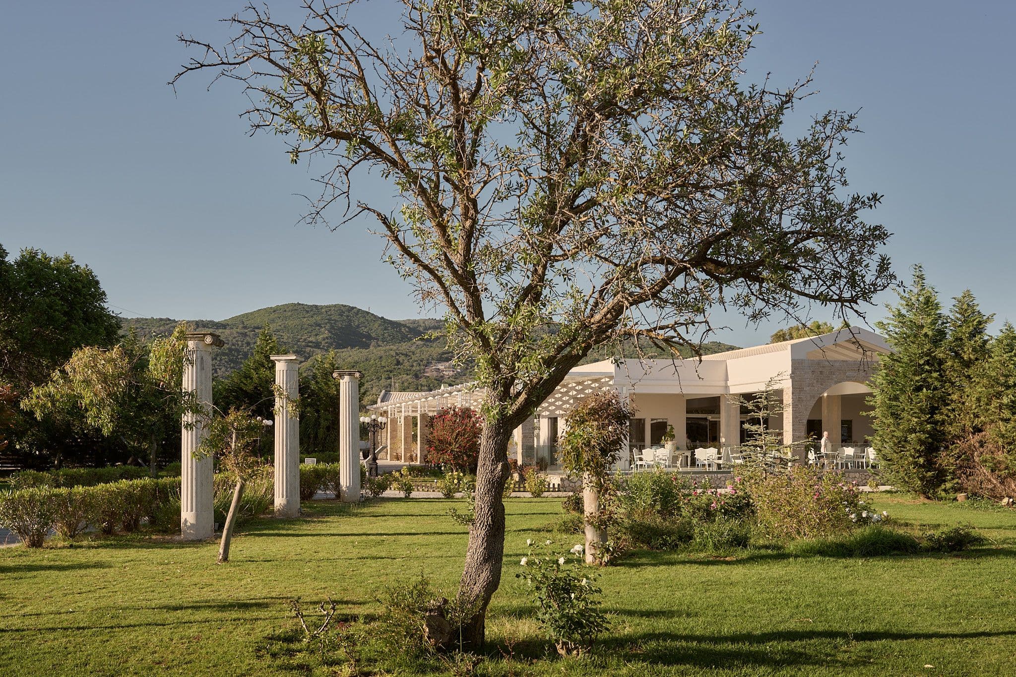 The Hotel