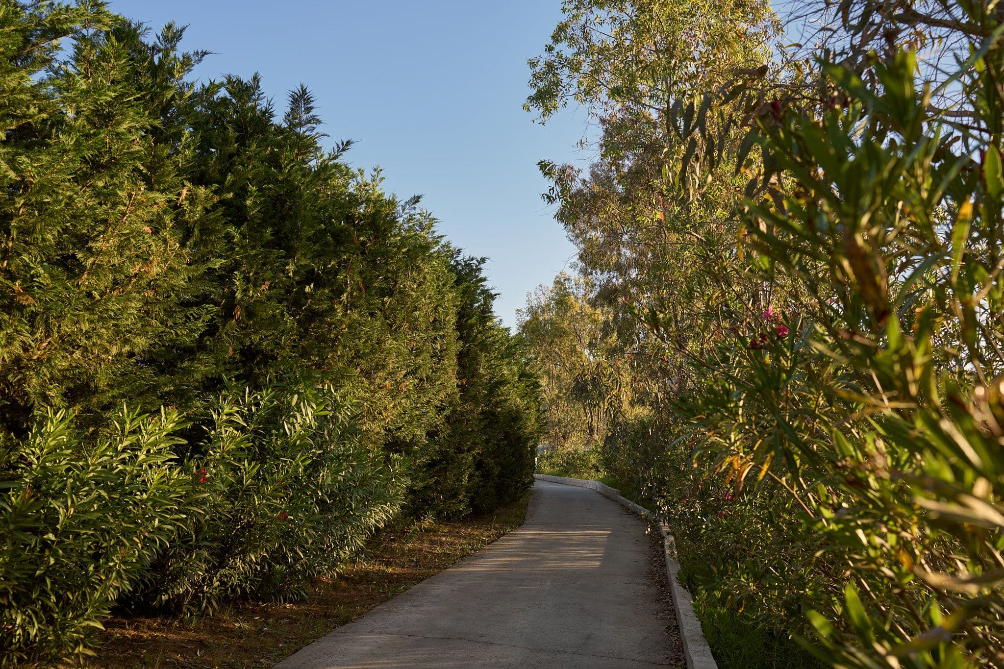 Μια γαλήνια απόδραση στη νοτιοδυτική ακτή της Κέρκυρας