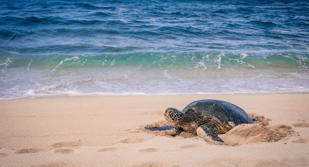 Sustainable Holidaying